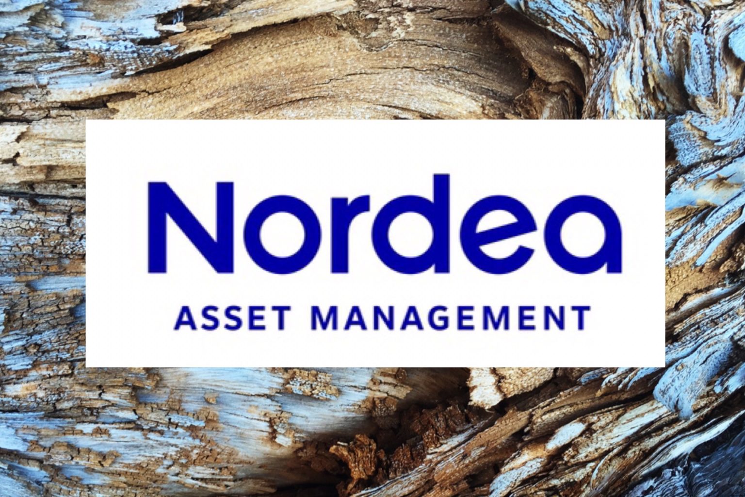 Nordea Private Equity Secondary Fund I Reaches Its EUR 150 Million ...