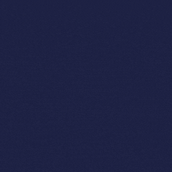 Domos FS GIF Website LPEA 250x250